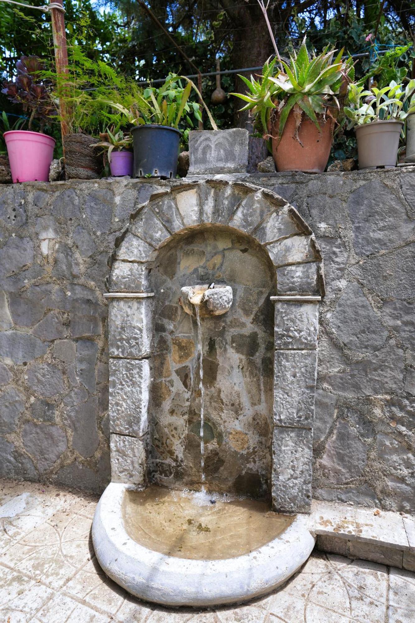 Gjirokastër Vila Banushi מראה חיצוני תמונה